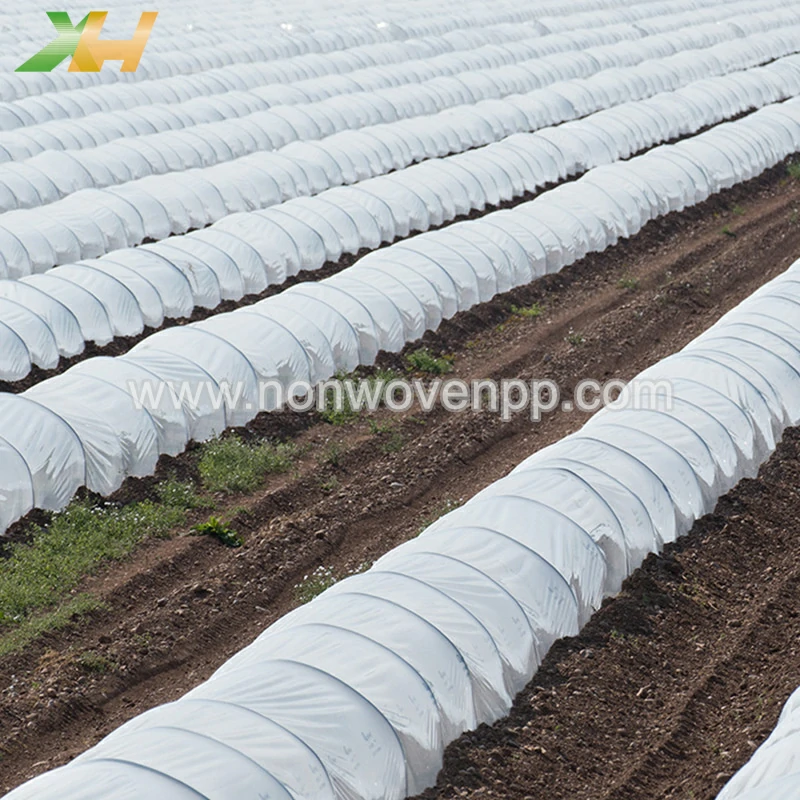 polypropylene nonwoven